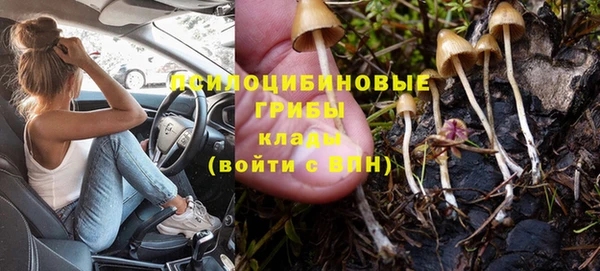 стаф Алексеевка