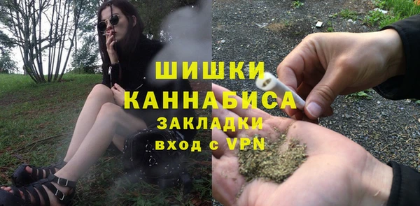 сатива Абаза