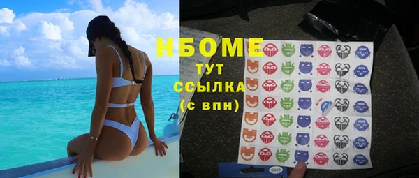 сатива Абаза