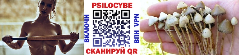 Галлюциногенные грибы MAGIC MUSHROOMS наркота Питкяранта
