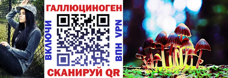 Псилоцибиновые грибы Psilocybe Питкяранта