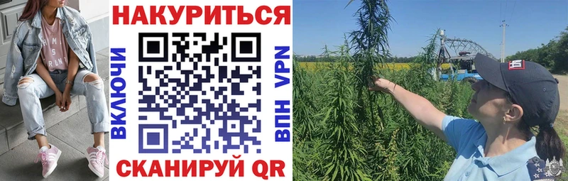 Бошки Шишки Amnesia Питкяранта